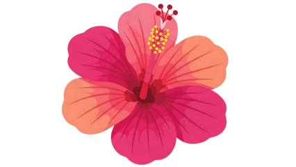 A vibrant pink hibiscus flower on transparent background