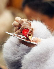 Close-up of a chocolate covered strawberry on wooden stick held by a woman at the Christmas market on Old Town Square in Prague, capturing festive street food, winter atmosphere and holiday tourism.