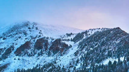 Snow Covered Mountain Slope with Evergreen Trees and Rocky Outcrops at Sunrise