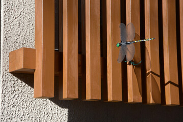 街角の風景　スケッチ写真