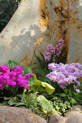 flowers in the garden