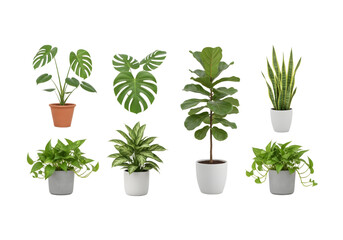 Tropical indoor potted house plants set SVG on transparent background