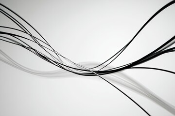 Monochrome artistic display of curved, thin black lines on a white, minimalist background