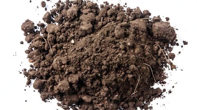 Video A lump of earthy soil sits atop a clean surface