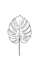 Line art: single botanical leaf (monstera), clean vector style, no fill, black on white, 0.5pt stroke
