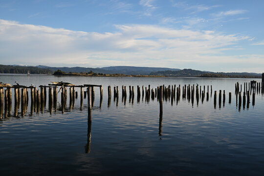 Old pilings in the bay with reflection in the water, with mountains in the distance under a blue sky with fluffy clouds. 