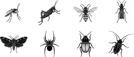 Detailed insect and spider illustration set, black and white bug icons, beetle, mosquito, bee, moth and grasshopper vector, entomology collection, nature wildlife elements, © ASH Labs