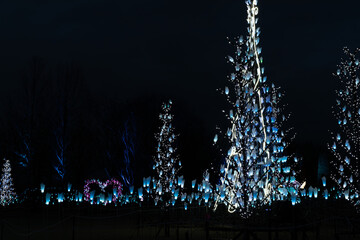 冬の夜のイルミネーション