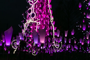 冬の夜のイルミネーション