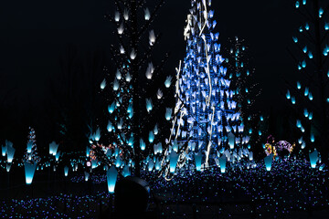 冬の夜のイルミネーション