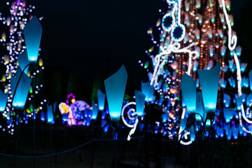 冬の夜のイルミネーション