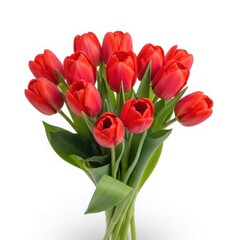 Fototapeta premium Vibrant red tulips bouquet