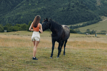 A young woman in casual attire stands in an open field, gently reaching toward a horse. The scene conveys calm companionship, nature, and a quiet rural moment filled with warmth and trust.