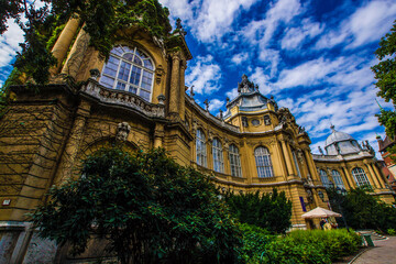 ツタ絡む温泉建築