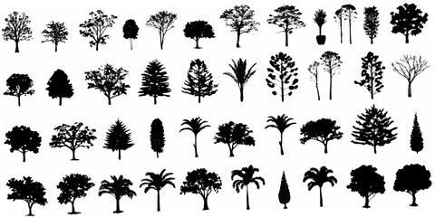 A collection of diverse tree silhouettes in black and white © Sudebi