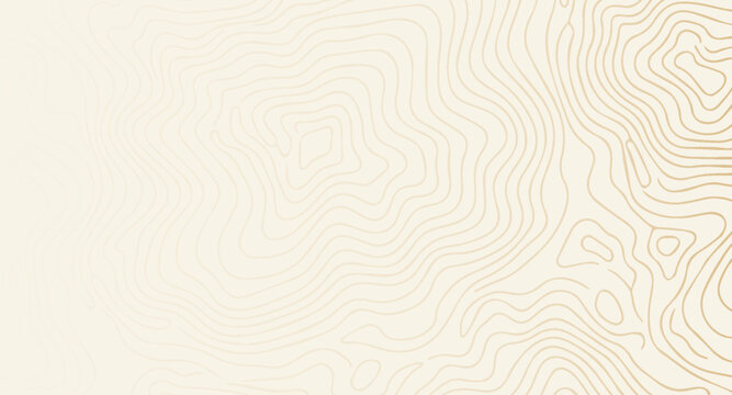 Abstract beige and gold topographic lines create a subtle wavy pattern, ideal for modern background design