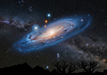 Majestic spiral galaxy glows with ethereal light in the vast cosmic expanse, creating a peaceful, awe-inspiring night sky vista above ancient silhouetted trees