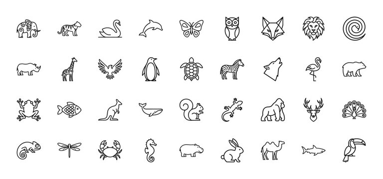 Wildlife animal line icon set. Vector pictograms of elephant, tiger, lion, giraffe, penguin, wolf, whale, and shark, thin outline illustration.
