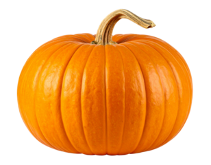 cceptedReleases
Submit 0 files
Do not submit generative AI content with titles that imply an actual depiction of newsworthy events. More info.


Select All
Sort by

Upload date
 0 0
 0 0
 0 0
 0 0
 0 