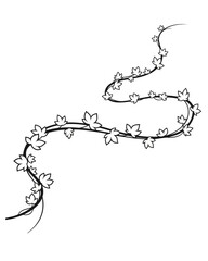 Obraz premium Elegant botanical illustration featuring a winding vine with delicate leaves, perfect as a versatile decorative element for natural-themed designs and artistic projects