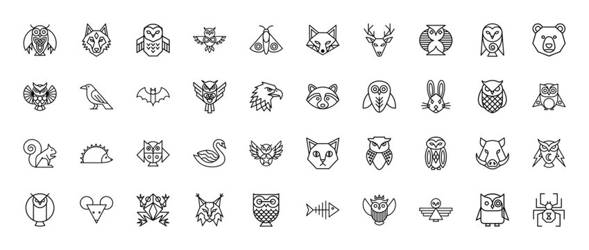 Wildlife line icon set including vector pictograms of owls, wolf, fox, deer, bear, eagle, raccoon, rabbit, squirrel, hedgehog, swan, cat, and frog in outline style.