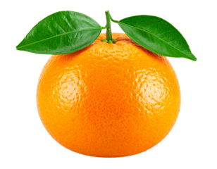 cceptedReleases
Submit 0 files
Do not submit generative AI content with titles that imply an actual depiction of newsworthy events. More info.


Select All
Sort by

Upload date
 0 0
 0 0
 0 0
 0 0
 0 