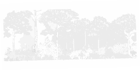 Fototapeta premium A grayscale view of dense forest trees and foliage in a natural setting