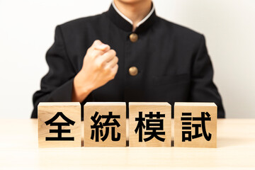 「全統模試」と書かれたブロックとガッツポーズをする男子学生