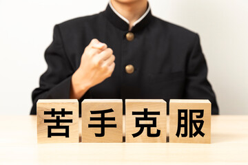 「苦手克服」と書かれたブロックとガッツポーズをする男子学生