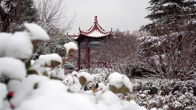 Clumps of snow covered the trees and shrubs around the pavilion; a gust of wind blew the snow down.