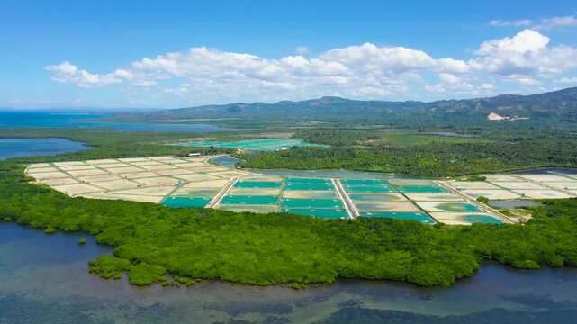 Aerial view of the prawn farm with aerator pump. Bohol, Philippines. Ponds for shrimp farming.