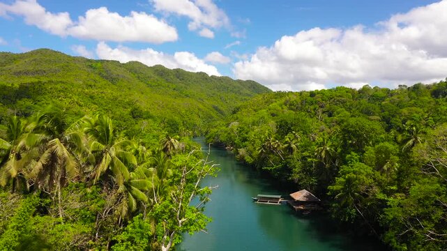 Aerial drone of Tropical Loboc river in the rainforest. Mountain river flows through green forest. Bohol, Philippines.