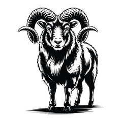ram