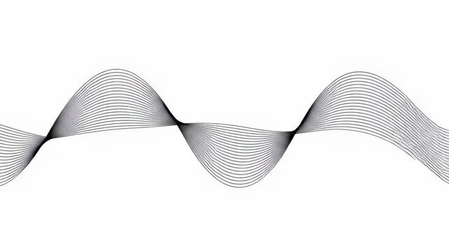 A sleek digital waveform animation featuring flowing black and white lines demonstrating sound oscillation and dynamic motion for modern visual presentations.
