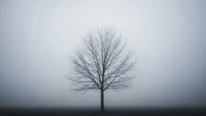 Lone Tree in Heavy Fog