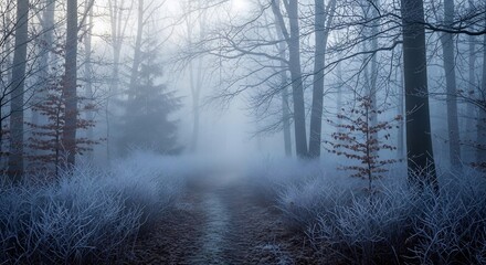 Obraz premium Mystical Forest Scene with Fog and Bare Trees.