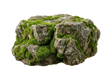 Mossy forest rock. Natural grey stone covered in green moss.