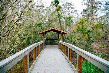 Winter Landscape of Hillsborough river at Lettuce lake park