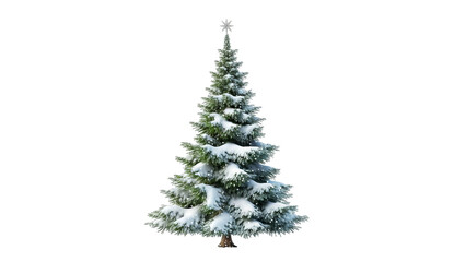 Fototapeta premium Snowy Christmas Tree: A majestic evergreen Christmas tree adorned with a delicate dusting of snow. Evoking the spirit of the holiday season, with a touch of winter wonder.