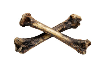 Fototapeta premium Crossed animal bones isolated on white background