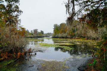 Winter Landscape of Hillsborough river at Lettuce lake park