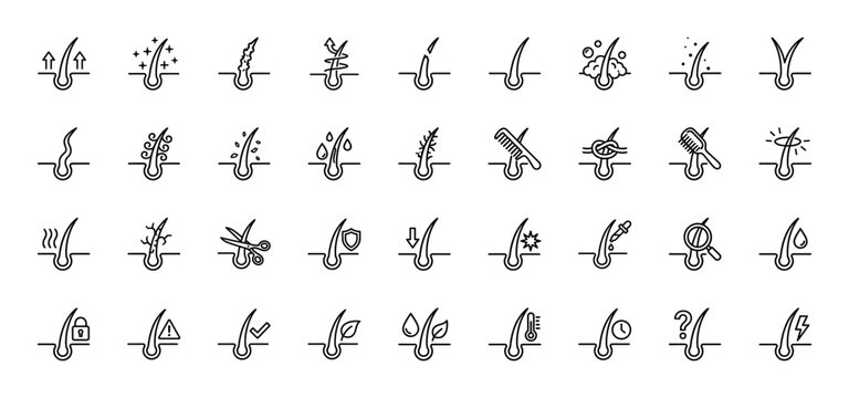 Hair care line icon set. Vector pictograms of follicle, dandruff, loss, growth, split ends, shampoo, comb, scissors, serum and treatment. Thin outline illustration.