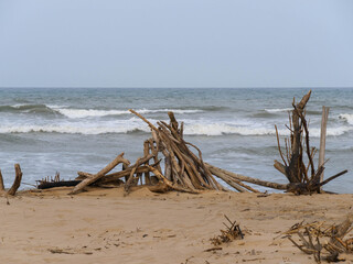 Driftwood sticks piled together on the beach with the ocean in the background.  Location: St Lucia, KwaZulu Natal