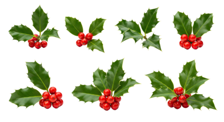Christmas holly berries and leaves on a png transparent