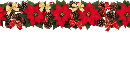 Christmas poinsettia flowers with pine cones and red ribbons on a png transparent