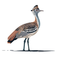 Kori bustard