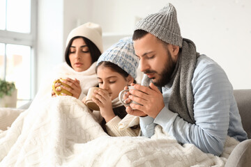 Frozen family in hats with plaid and lack of heating drinking hot tea on sofa at home
