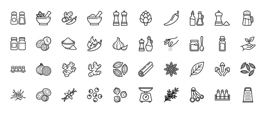 Spice and herb line icon set. Vector pictograms of salt, pepper, ginger, chili, garlic, cinnamon, rosemary, nutmeg, vanilla, and anise, thin outline illustration.