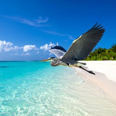 Bird soars gracefully above a turquoise ocean, sandy beach, and blue sky