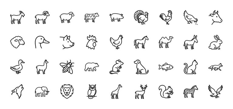 Animal line icon set. Vector pictograms of wild and farm animals, cow, pig, horse, dog, cat, lion, bear, rabbit, bird, fish, thin outline illustration.
